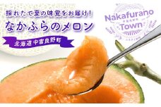 【2025年発送】なかふらのメロン 2玉（計3.2kg～）