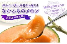 【2025年発送】なかふらのメロン 2玉（計4kg～）
