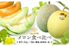 【2025年発送】中富良野産メロン赤肉・青肉　各1玉（1.6kg）