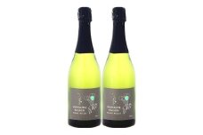 ブランビュル　750ml×2本