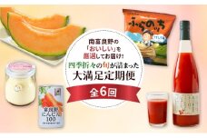 季節の果物からポテチ、スイーツまで！南富良野の人気商品を贈る6ヵ月大満足定期便 [ メロン 果物 フルーツ じゃがいも にんじん 芋 菓子 スナック ミニトマト ジュース 飲料 野菜ジュース プリン デザート ]