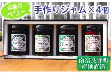 4種のベリー手作りジャム4個セット 北海道 南富良野町 ジャム ブルーベリー ハスカップ カシス ラズベリー 詰合せ