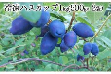 自家農園産・冷凍ハスカップ1kg（500g×2袋） 北海道 南富良野町 ハスカップ 果実 冷凍 大容量 冷凍ハスカップ