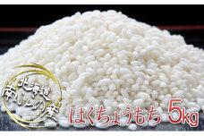 ふらの産精米もち米【はくちょうもち】5kg（1kg×5袋） 北海道 南富良野町 もち米 はくちょうもち お米 米
