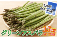 2026年先行予約 南ふらの産 グリーン アスパラ 1.5kg (M・L混合) 北海道 南富良野町 アスパラ アスパラガス 野菜 ふらの 2026年発送 先行予約	