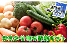 野菜 北海道 おまかせ 旬 野菜セット 南ふらの町 産地直送 旬の野菜 詰め合わせ セット ミニトマト きゅうり ズッキーニ なす とうもろこし ピーマン 夏野菜 夏 秋 2025年発送