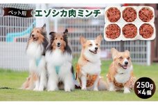 ペットのおやつ【エゾシカ肉のミンチ】250g×4 南富フーズ株式会社 鹿肉 ジビエ 餌 犬 猫 鹿 ペット 健康 無添加 肉 北海道 南富良野町 エゾシカ