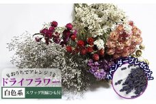 ＜おうちでアレンジ！＞ドライフラワー（白色系）プレゼント付 北海道 南富良野町 ドライフラワー 花 お花 華