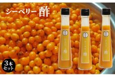シーベリー酢 3本セット 北海道 南富良野町 シーベリー ベリー 酢 調味料 セット 詰合せ ドレッシング ソース
