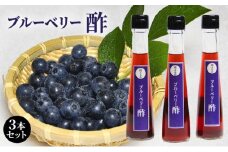 ブルーベリー酢 3本セット 北海道 南富良野町 ブルーベリー ベリー 酢 調味料 セット 詰合せ ドレッシング ソース