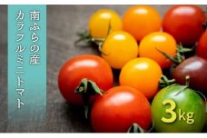 カラフル ミニトマト セット 3kg ≪北海道南富良野産≫ 北海道 南富良野町 2025年発送 先行予約 トマト 詰合せ ミックス ミックストマト