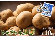 南ふらの産 じゃがいも 男爵 約10kg【サイズ混合】 北海道 南富良野町 じゃがいも ジャガイモ 男爵 2025年発送 先行予約 ポテト