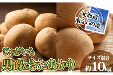 南ふらの産 じゃがいも 男爵 ＆ きたあかり 約10kg【サイズ混合】 北海道 南富良野町 じゃがいも ジャガイモ キタアカリ 北あかり 2025年発送 先行予約 ポテト