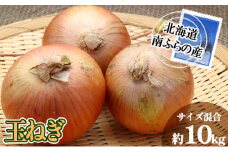 南ふらの産 玉ねぎ 約10kg 【サイズ混合】 北海道 南富良野町 2025年発送 先行予約 北海道 南富良野町  玉葱 玉ネギ 玉ねぎ ネギ ねぎ 先行予約