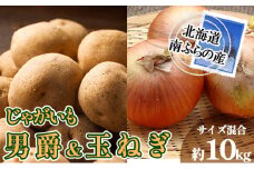 南ふらの産 じゃがいも 男爵 ＆ 玉ねぎ 約10kg 【サイズ混合】2025年発送 先行予約 北海道 南富良野町  玉葱 玉ネギ 玉ねぎ ネギ ねぎ じゃがいも ジャガイモ 先行予約