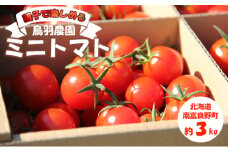 あま～い！ ミニトマト 約3kg 北海道 南富良野町 鳥羽農園 トマト とまと ミニトマト 野菜 大容量 甘っこ 甘い