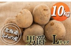 ふらの産じゃがいも【男爵】Lサイズ 10kg 北海道 南富良野町 じゃがいも ジャガイモ 男爵 野菜 ポテト