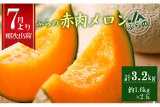 2025年夏発送 JAふらの厳選！ふらの赤肉メロン 1.6kg×2玉  メロン めろん 富良野メロン 果物 くだもの フルーツ 富良野 デザート 北海道 贈り物 ギフト
