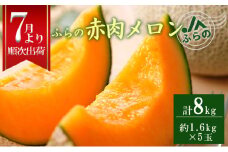 2025年夏発送  メロン 北海道 ふらの 赤肉メロン 1.6kg×5玉 JAふらの 厳選 産地直送 赤肉 富良野メロン フルーツ 果物 果実 旬 旬のくだもの デザート おやつ ギフト プレゼント 贈答 贈答用 贈答品 贈り物 富良野