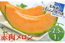 2025年夏発送  メロン 北海道 ふらの 赤肉メロン 約2.5kg×1玉 JAふらの 厳選 産地直送 赤肉 富良野メロン フルーツ 果物 果実 旬 旬のくだもの デザート おやつ めろん 富良野