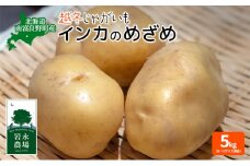 北海道 南富良野町 越冬じゃがいも「インカのめざめ」5kg(S～Lサイズ混合) 越冬 じゃがいも ジャガイモ インカ インカの目覚め 野菜 やさい 芋