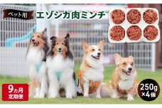 9ヵ月定期便 ペットのおやつ【エゾシカ肉のミンチ】250g×4 南富フーズ株式会社 鹿肉 ジビエ 餌 犬 猫 鹿 ペット 健康 無添加 肉 北海道 南富良野町 エゾシカ