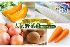 2025年発送 南富良野から贈る 人気野菜 3回お届け定期便 北海道 ふらの 南富良野 メロン とうもろこし じゃがいも 人参 玉ねぎ