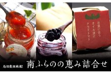 鳥羽農園厳選セレクト！南富良野の恵み詰め合わせ 北海道 南富良野町 ハスカップ ジャム ベリートマト シーベリー 果実 オイル漬け 北海道 手づくり 農家 直送 ミニトマト