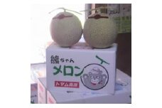 占冠産メロン　２玉１セット