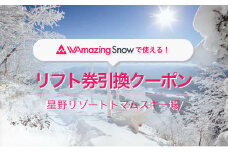 【廃止】 リフト・ゴンドラ１日券と引換え可能な5,500円分のWAmazingSnowクーポン