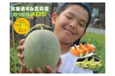【ふるさと納税】≪令和7年産予約≫わっさむ産メロン（お任せ2玉）【7～8月お届け】