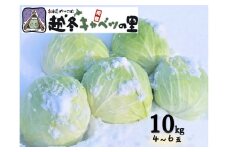 【ふるさと納税】さとうさんちの越冬キャベツ《お届け：12月～1月》　北海道　ふるさと納税　野菜　冬　キャベツ