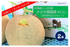 【ふるさと納税】≪令和7年産予約≫ささき農園産メロン（お任せ2玉）【7～8月お届け】