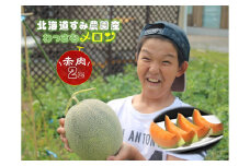 【ふるさと納税】≪令和７年産予約≫わっさむ産メロン（赤肉2玉）【7～8月お届け】