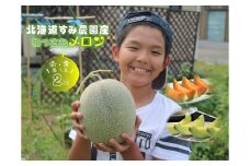 【ふるさと納税】≪令和7年産予約≫わっさむ産メロン（赤・青各1玉）【7～8月お届け】