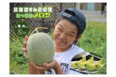 【ふるさと納税】≪令和7年産予約≫わっさむ産メロン（青肉2玉）【7～8月お届け】