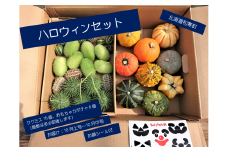 【ふるさと納税】≪令和7年10月お届け≫ハロウィンセット（おもちゃメロンククミスとおもちゃカボチャ）