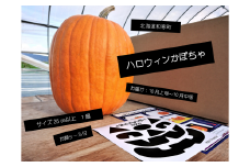 【ふるさと納税】≪令和7年10月お届け≫ハロウィンかぼちゃ