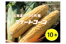 【ふるさと納税】≪令和7年産≫和寒産スイートコーン（10本セット）