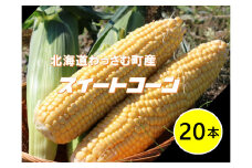 【ふるさと納税】≪令和7年産≫和寒産スイートコーン（20本セット）