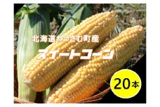 【ふるさと納税】≪令和7年産≫和寒産スイートコーン（20本セット）