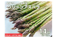 【ふるさと納税】《令和7年産》北海道グリーンアスパラ1.4kg／和寒町産