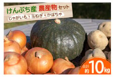 【先行受付】数量限定 野菜 けんぶち産農産物セット 3種 計10kg [剣淵・生命を育てる大地の会 北海道 剣淵町 14656147] じゃがいも 玉ねぎ かぼちゃ 野菜セット