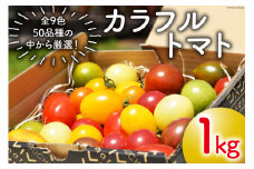 カラフルトマト 1kg [ＶＩＶＡマルシェ 北海道 剣淵町 14656189] 野菜 国産