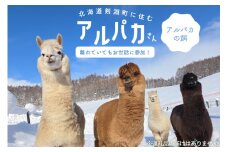 アルパカのエサ [ビバカンパニー 北海道 剣淵町 14656231] 