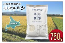 【日本一のお米】 令和6年 米 ゆきさやか 5合(750g)【郵便受けにお届け】[武山農園 / 北海道 剣淵町 14656132] 白米 精米 ご飯 ごはん コメ こめ 国産 