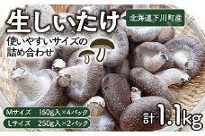 生しいたけ【使いやすいサイズの詰め合わせ】1,1kg Mサイズ(150g×4パック) Lサイズ(250g×2パック) 軸太 肉厚 椎茸 シイタケ 野菜 やさい 故郷 ふるさと 納税 国産 北海道産 北海道 下川町 F4G-0013