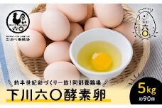 5kg 約90個（80個＋割れ補償10個） 約半世紀卵づくり一筋 ！『下川六〇酵素卵』 下川ろくまる あべ養鶏場 割れ補償付き たまご 玉子 タマゴ ふるさと 納税 国産 北海道産 北海道 下川町 F4G-0133