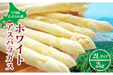 【先行予約】 令和7年産 ホワイトアスパラガス（2Lサイズ）2kg アスパラ 野菜 やさい ふるさと 納税 国産 北海道産 北海道 下川町 F4G-0004