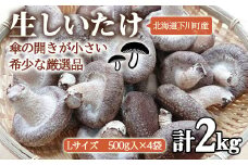 簡易包装 生しいたけ【Lサイズ・傘の開きが小さい】2kg 軸太 肉厚 椎茸 シイタケ 野菜 やさい 故郷 ふるさと 納税 北海道 下川町 直径約6cm F4G-0024